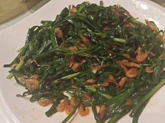 -品泉餐厅·大盆鱼·走地鸡