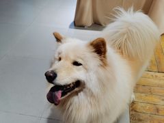 -肆兮眼镜·蔡司·徕卡战略合作店(大坪店)
