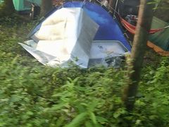 -武陵山森林公园