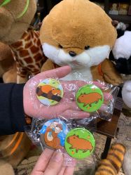 -Zoolung Zoolung动物主题公园(海信广场店)