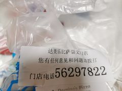 -达美乐比萨(国瑞北路店)