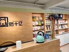 -猫十亿·布偶金渐层·曼基康矮脚猫舍(青年路店)