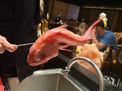 -本源食集 日式烧肉·炉端烧(东海缤纷店)
