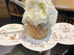 -野人先生现做冰淇淋(北京顺义祥云小镇店)