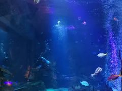 -沈阳海洋探索中心