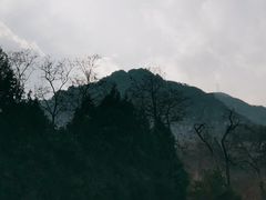 -北京鹫峰国家森林公园