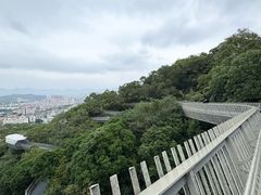 -福道