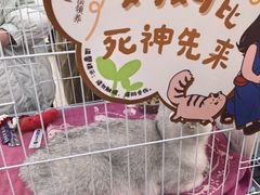 -万达广场(太原街店)