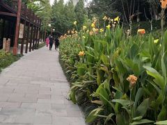 -重庆彩云湖湿地公园