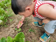 -前小桔亲子创意农场·草莓采摘·露营烧烤