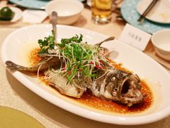 游水石斑鱼-香厨中餐厅(松北香格里拉店)