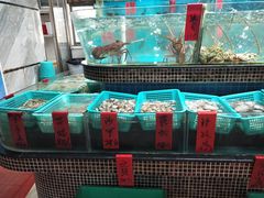水产区-海大大蒸汽海鲜餐厅·粤菜·特色小炒(欢乐颂店)