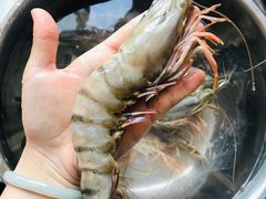 -众彩物流水产市场