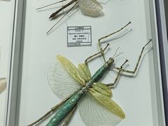 -烟台市博物馆