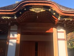 -名古屋城