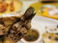 -大树头·花园餐厅(市桥店)
