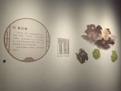 -四川宋瓷博物馆