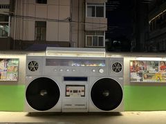 -南湖公园地摊集市