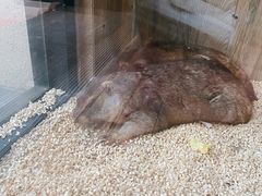 -后院犇牛主题餐厅(云岗店)