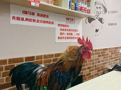 -重庆何乌鱼(南湖逸家店)