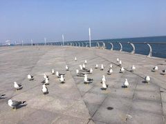 -东港音乐喷泉广场