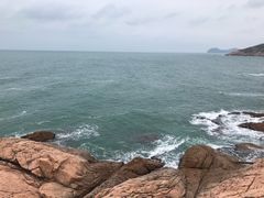 -广东惠东海龟国家级自然保护区