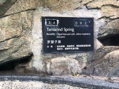 -海口观澜湖火山温泉谷