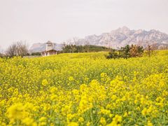 -西海岸生态观光园