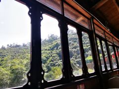 -鲤鱼塘农家山庄