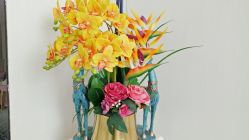 -久匠·纹眉半永久野生眉