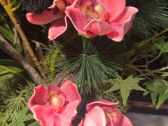 -南堂馆·新川菜(春熙路店)