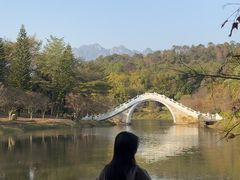 -田野绿世界