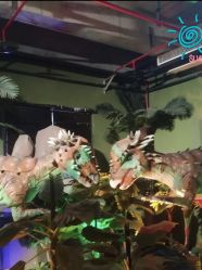 -恐龙探索乐园(磁器口店)