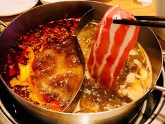 -青瓷火锅料理(西单大悦城店)