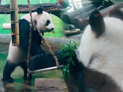 -柳州市动物园