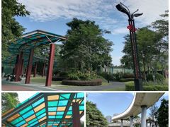 -文华公园(禅城区)