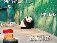 -沈阳森林动物园