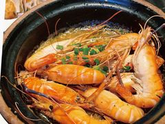 -新白鹿餐厅(虹桥南丰城店)