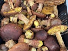 -草墩罗非鱼庄•野生菌•腊排骨(七星街上段店)