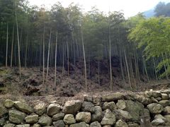 景点-众神白水涧景区