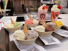 -极拉图·现制冰淇淋(大卫城店)
