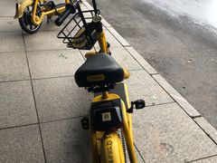 -秋水广场音乐喷泉