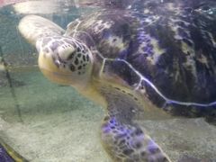 -鸿通城购物中心