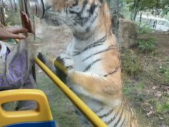 -栾川竹海野生动物园