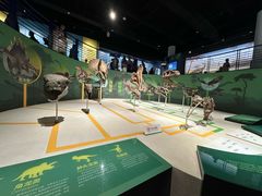 -国家自然博物馆