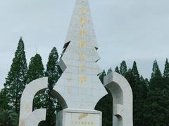 -水杉园