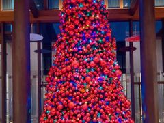 -上海崇明金茂凯悦酒店