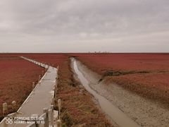 -红海滩国家风景廊道