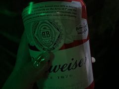 -大冰的小屋