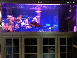 -青木造型HAIR·あおき髪を刈る潮人店